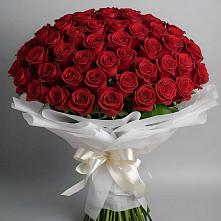 Букет 101 Красная роза Блэк Мэджик в Барыше