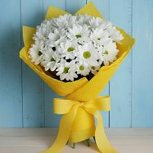 Букет цветов из:  Хризантемы в Барыше