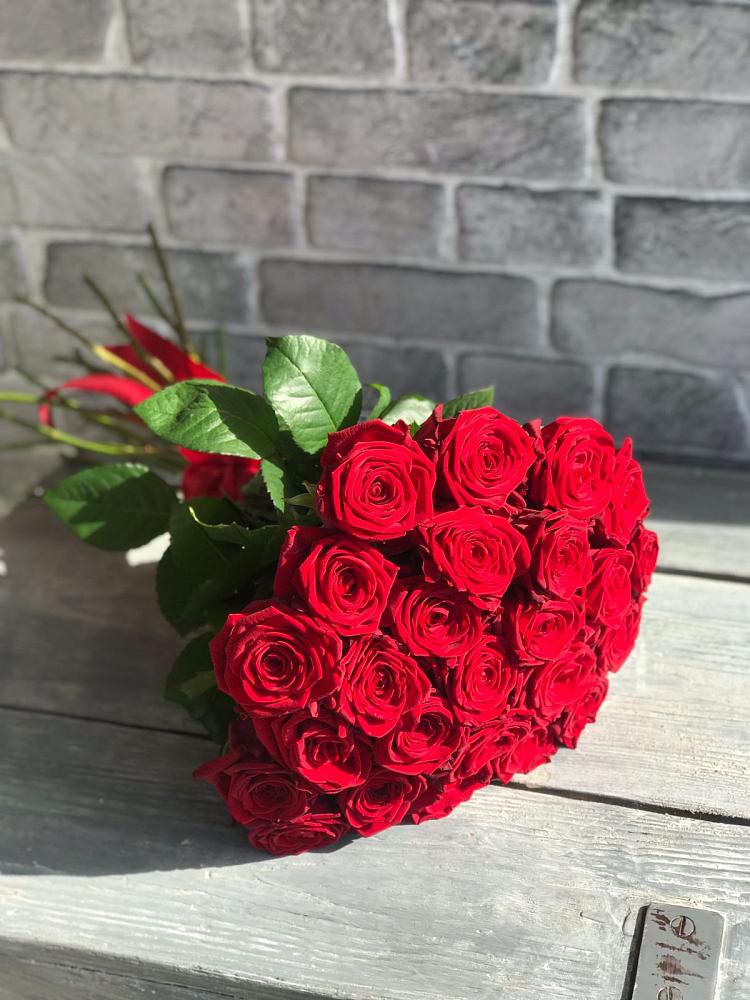 Букет Красные розы Фридом в Барыше