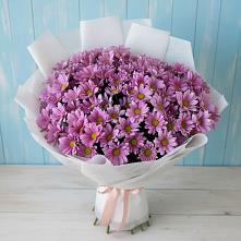 Букет цветов из:  Хризантемы #REPLACE_PRED# Барыше