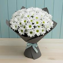 Букет цветов из:  Хризантемы #REPLACE_PRED# Барыше