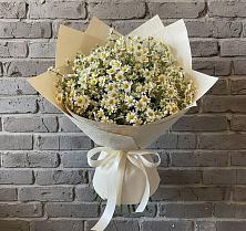 Букет цветов из:  Ромашки в Барыше