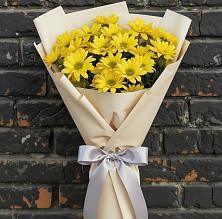 Букет цветов из:  Хризантемы в Барыше