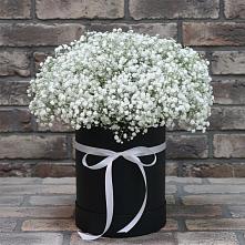 Цветочная композиция из Гипсофила в шляпной коробке в Барыше