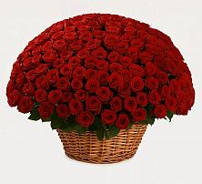 Премиум букет из: Розы в Барыше