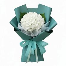 Букет цветов из:  Гортензия в Барыше
